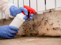 Best Comprehensive Air Testing for Mold Contaminants  in Sackets Harbor, NY